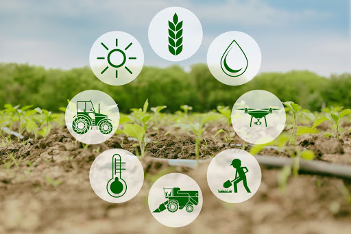 smart farm