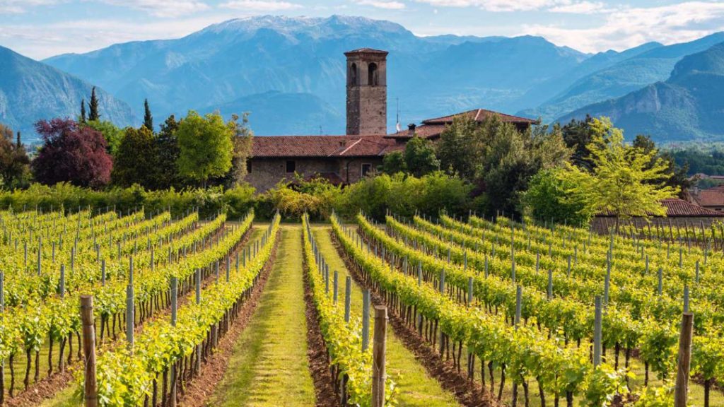 franciacorta Google 1920