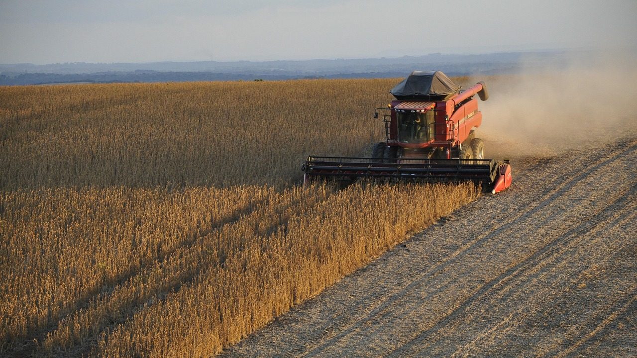 soybeans 1543071 1280 edited